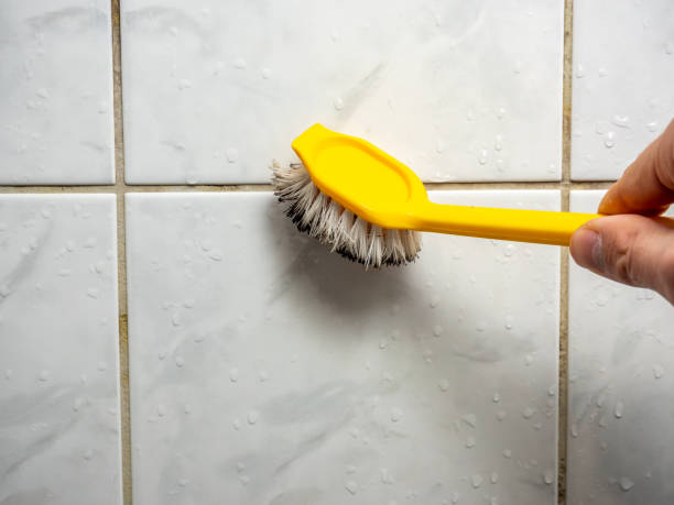 Best Affordable Mold Removal  in Elfers, FL