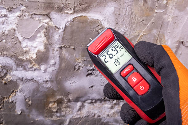 Best Mold Testing  in Elfers, FL