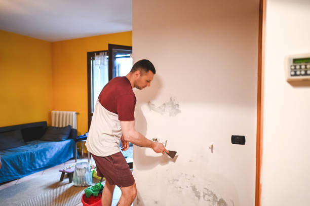 Attic Mold Removal in Elfers, FL